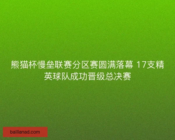 熊猫杯慢垒联赛分区赛圆满落幕 17支精英球队成功晋级总决赛